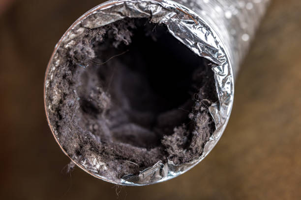 Best Emergency Air Duct Cleaning  in Mccrory, AR